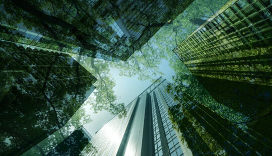 Implement Your Carbon Management Strategy with SAP Sustainability Solutions